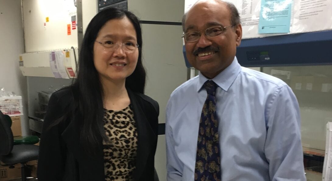 Li, Xue-Jun, PhD and Kalyanasundaram, Ramaswamy, DVM, PhD May 2019