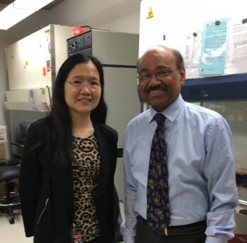 Li, Xue-Jun, PhD and Kalyanasundaram, Ramaswamy, DVM, PhD May 2019
                  