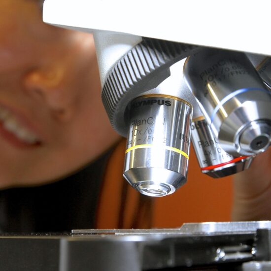 A student uses a microscope