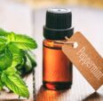 Mint leaves next to vial of peppermint oil