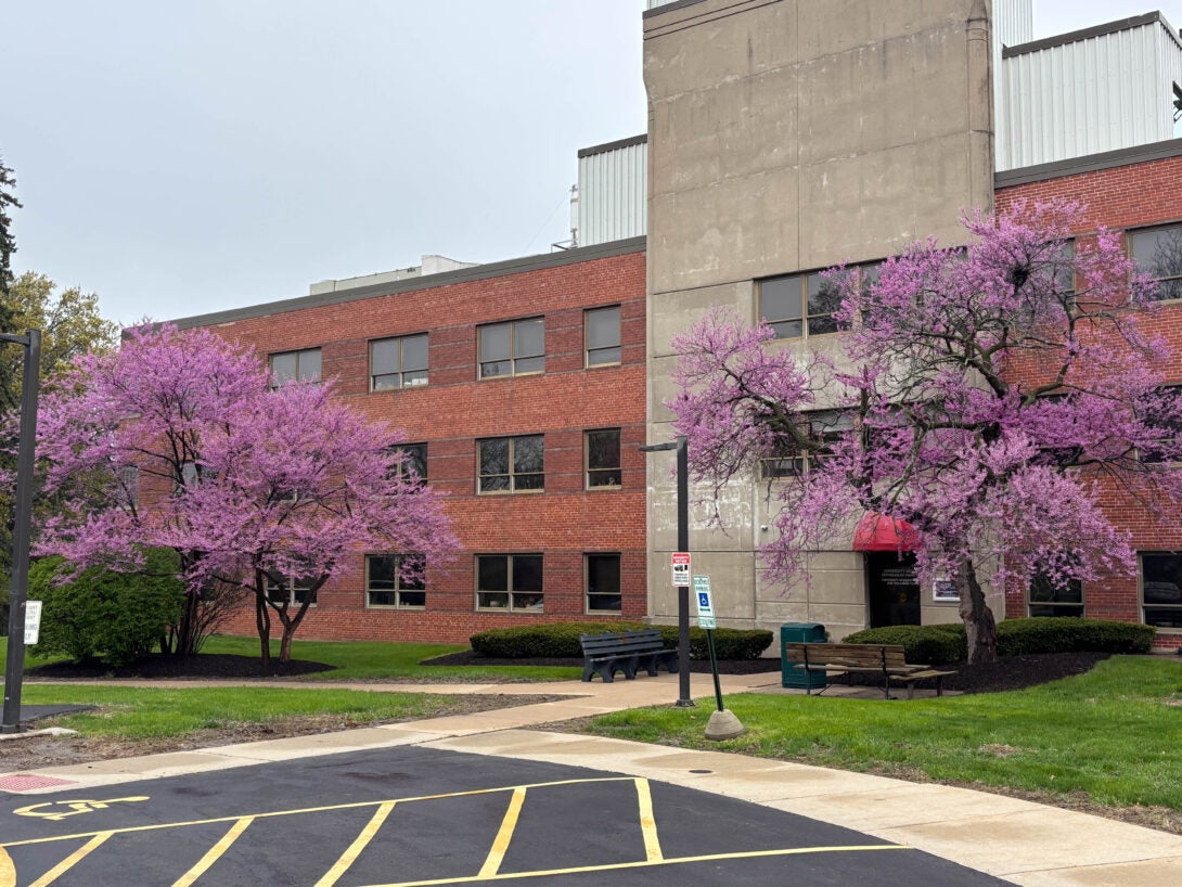 The North Building